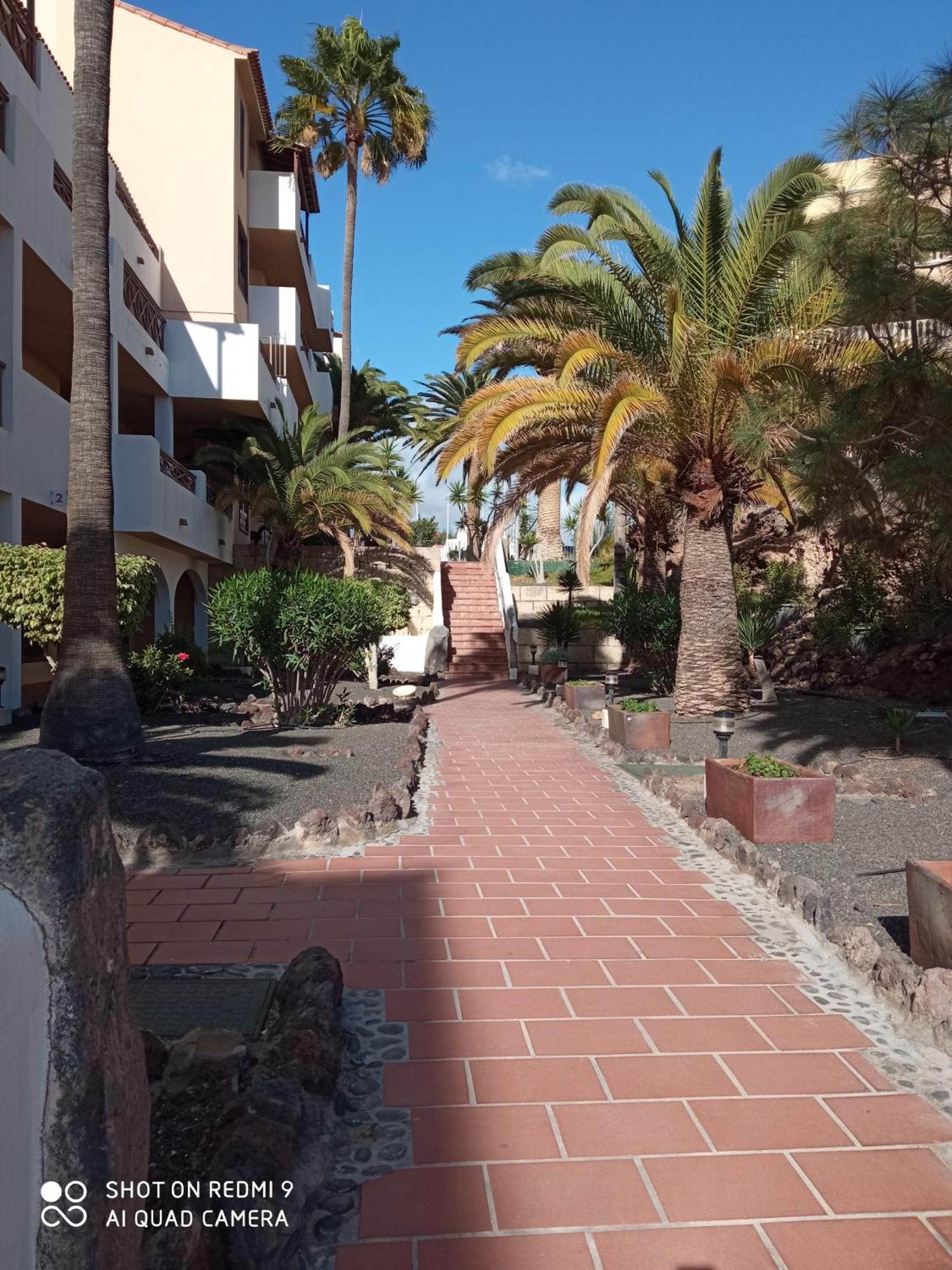 Las Meninas Tenerife San Miguel de Abona Kamer foto